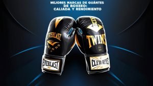 Beste Boxhandschuh-Marken: Qualität und Leistung garantiert